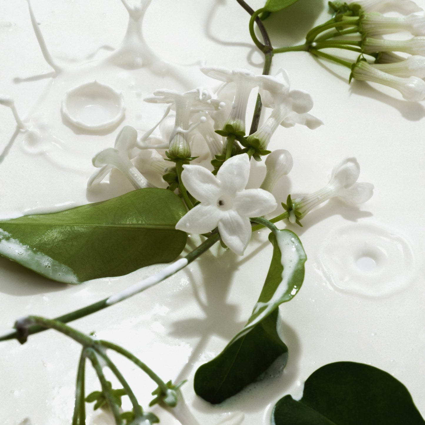 Final 3 Hours: 40%OFF-VANILLA & CREAM DUO Full Size Body Mists-Best Selling